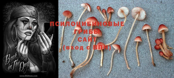дживик Наволоки