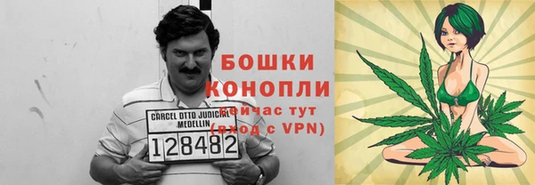 трава Надым