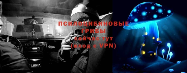 трава Надым