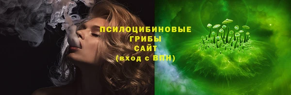 дживик Наволоки