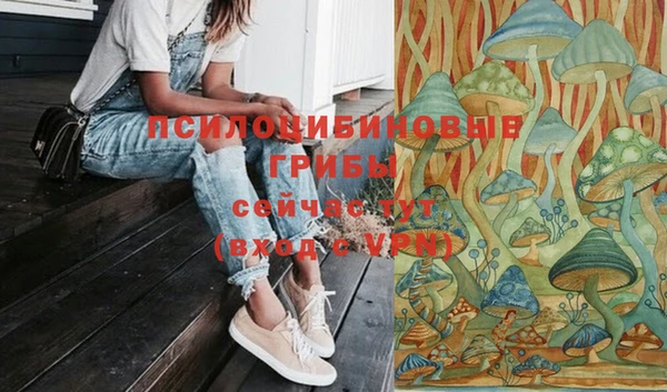трава Надым