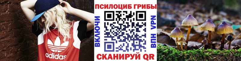 ОМГ ОМГ вход  Владимир  Псилоцибиновые грибы ЛСД 