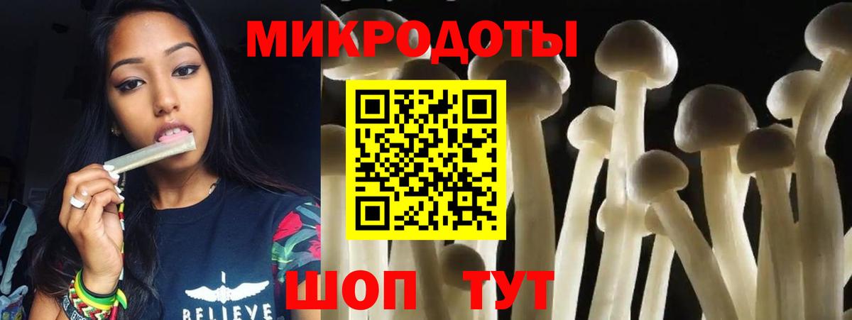 Галлюциногенные грибы ЛСД Владимир